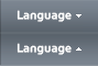 language