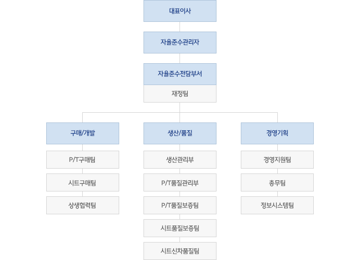 위쪽부터 대표이사, 자율준수관리자, 자율준수전담부서(재정팀), 수평으로 구매/개발(P/T구매팀, 시트구매팀, 상생협력팀), 생산/품질(생산관리부 , P/T품질관리부, P/T품질보증팀, 시트품질보증팀, 시트신차품질팀), 경영기획(경영지원팀, 총무팀, 정보시스템팀)